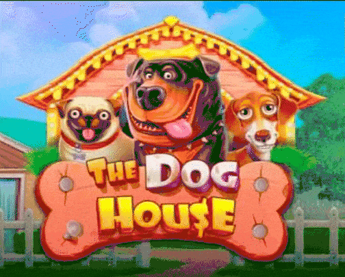 play the dog house in 711 casino